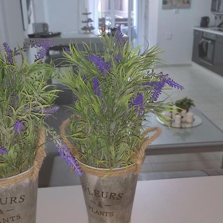 Lavender Home Golos Dış mekan fotoğraf