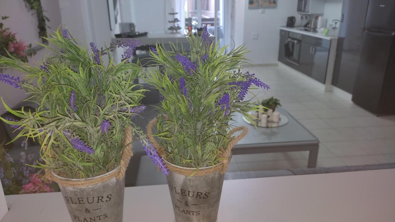 Lavender Home Golos Dış mekan fotoğraf